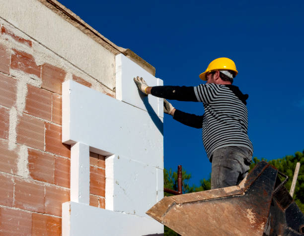 Best Professional Insulation Contractor  in Indian Lake, MO