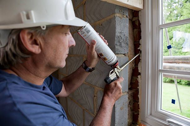 Best Home Insulation Services  in Indian Lake, MO